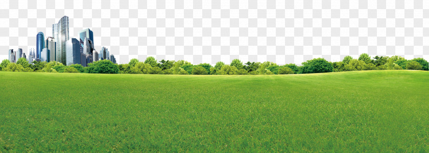 The Green Wilderness Of City Crop Biome Grassland Rural Area Land Lot PNG