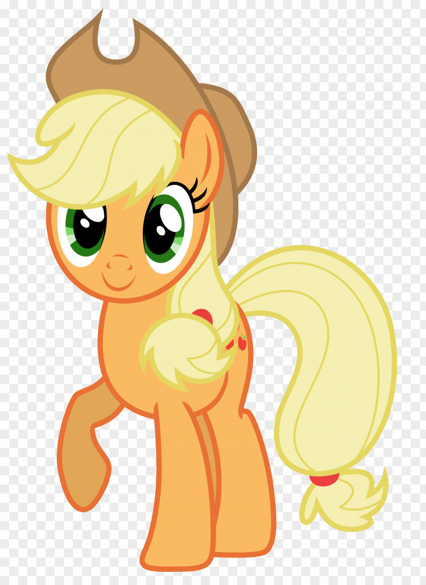 Applejack Infographic Twilight Sparkle Pinkie Pie Fluttershy Pony PNG