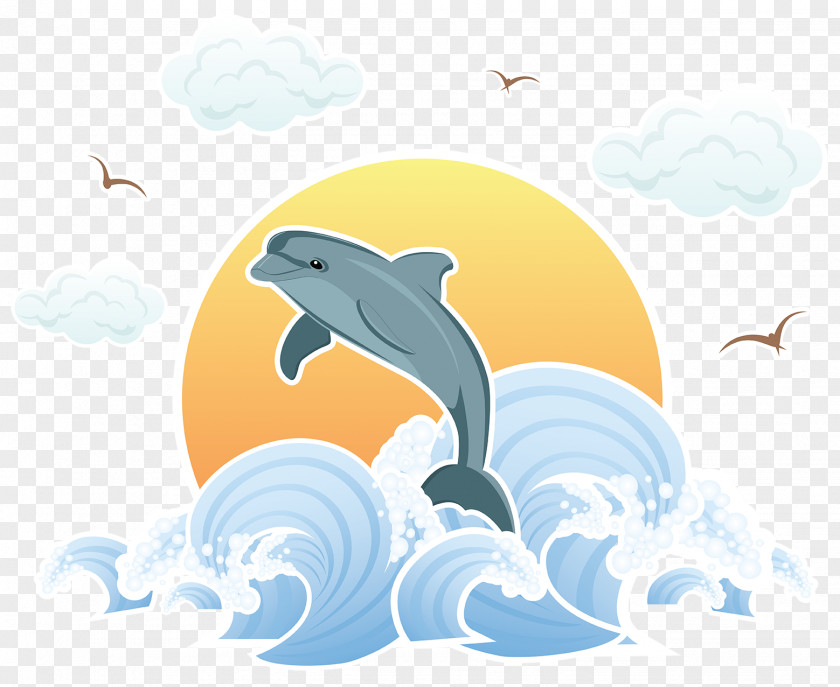 Cartoon Fish Dolphin U5357u4eacu6d77u5e95u4e16u754c Illustration PNG