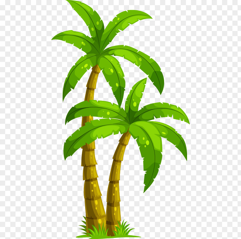 Cartoon Great Fresh Coconut Arecaceae Tree Clip Art PNG