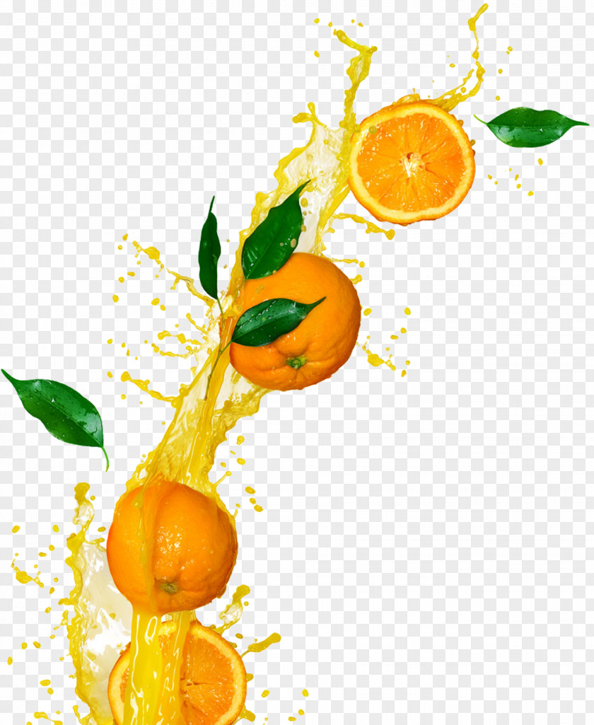 Creative Splashing Oranges Orange Juice Tangerine Drink Clementine PNG