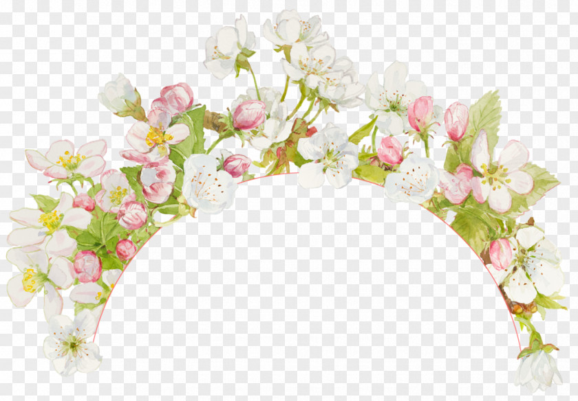Flower Floral Design Cut Flowers Blossom Ты — моя нежность PNG