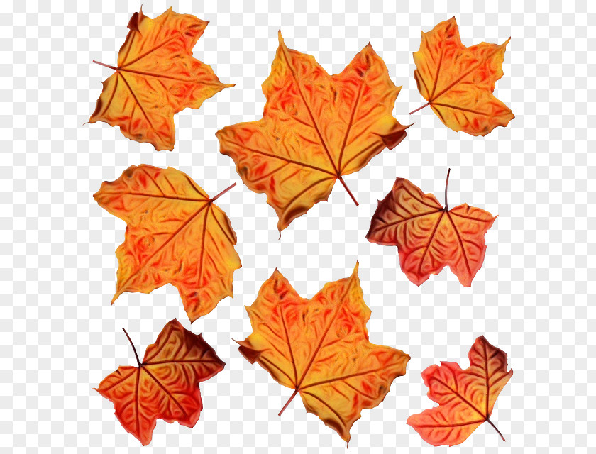 Grape Leaves New Mexico Maple Autumn Background PNG