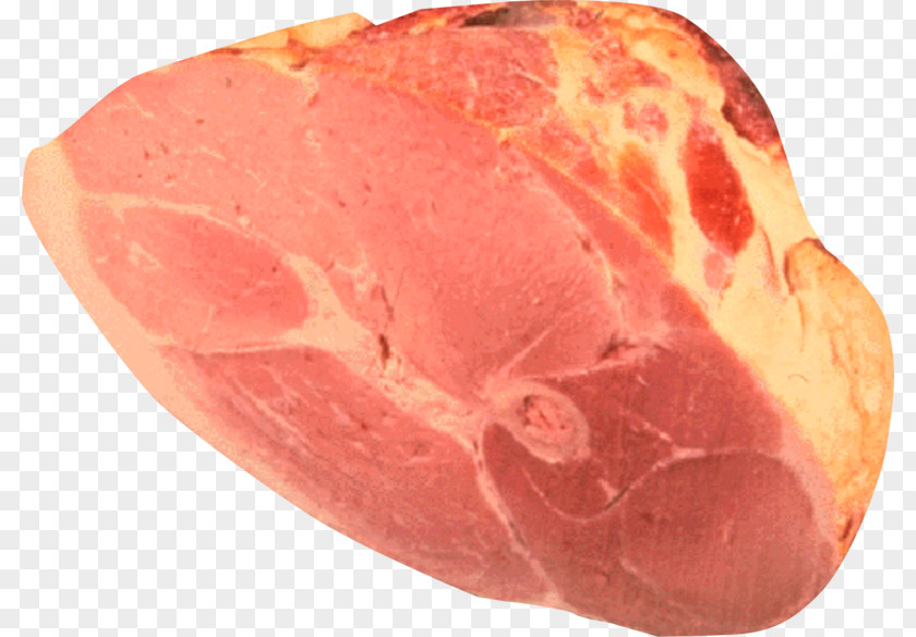 Ham Brtt Pork Soppressata Food Smoking PNG