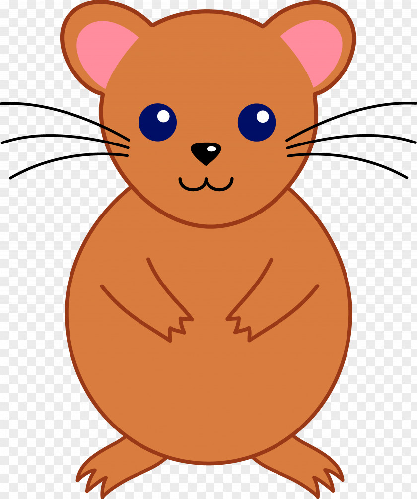 Hamster Wheel Cliparts Guinea Pig Rodent Pet Clip Art PNG