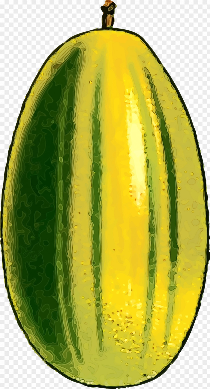 Muskmelon Cucumis Watermelon PNG