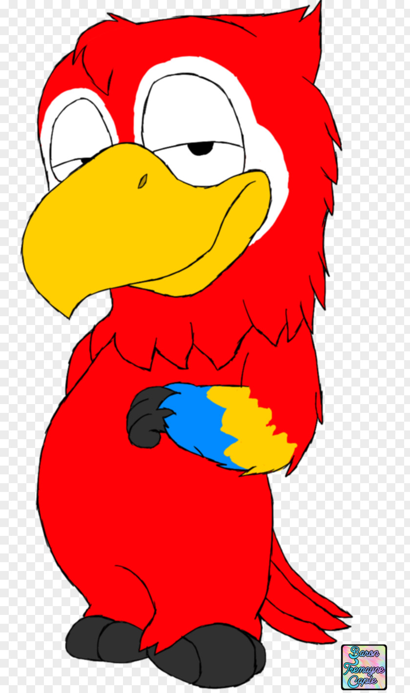 Parrot Chicken Bird Art Clip PNG