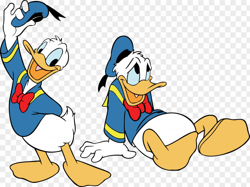 Ducks Donald Duck Mickey Mouse The Walt Disney Company PNG