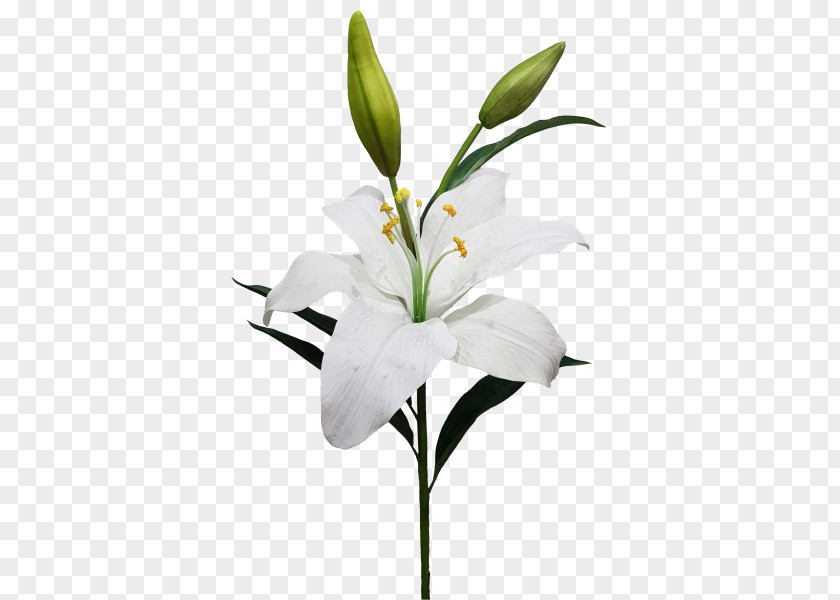 Flower Cut Flowers Artificial Lilium Candidum Garland PNG