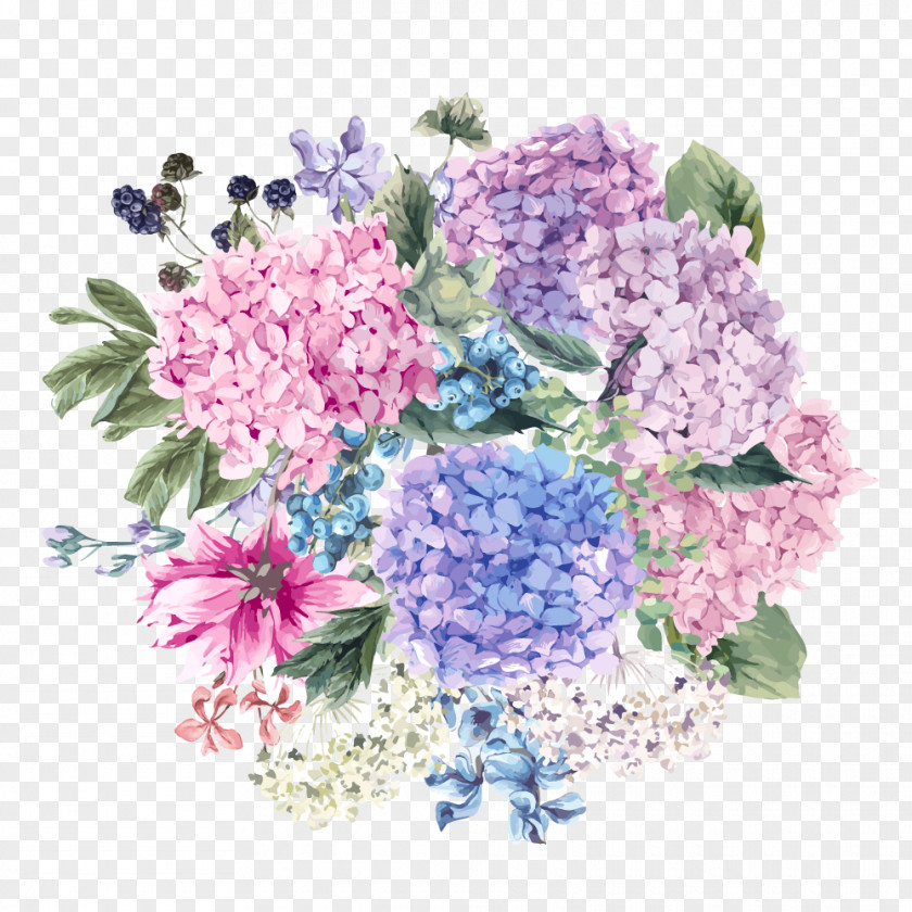 Flower French Hydrangea Cut Flowers Floral Design PNG
