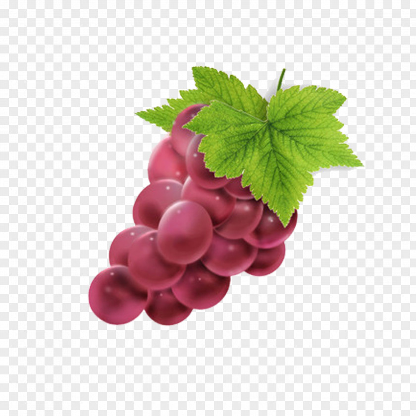 Grape Berry Seedless Fruit PNG