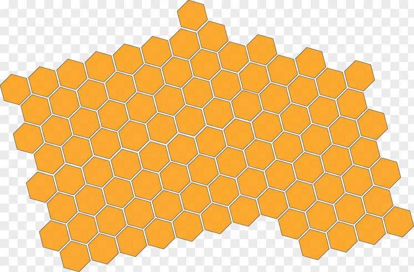 Drink Honey Bees Honeycomb Line Point Symmetry PNG