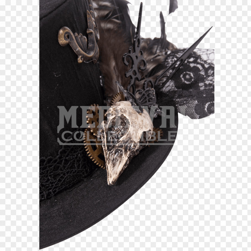 Hat Top Steampunk Feather Gear PNG
