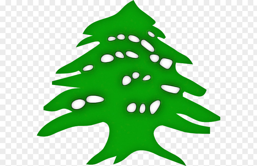 Plant Spruce Christmas Tree PNG