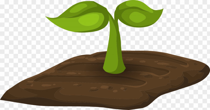 Plants Soil Clip Art PNG