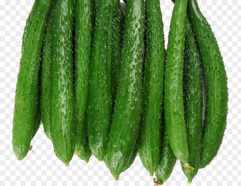 Cucumber Vegetable Auglis Gourd Melon PNG