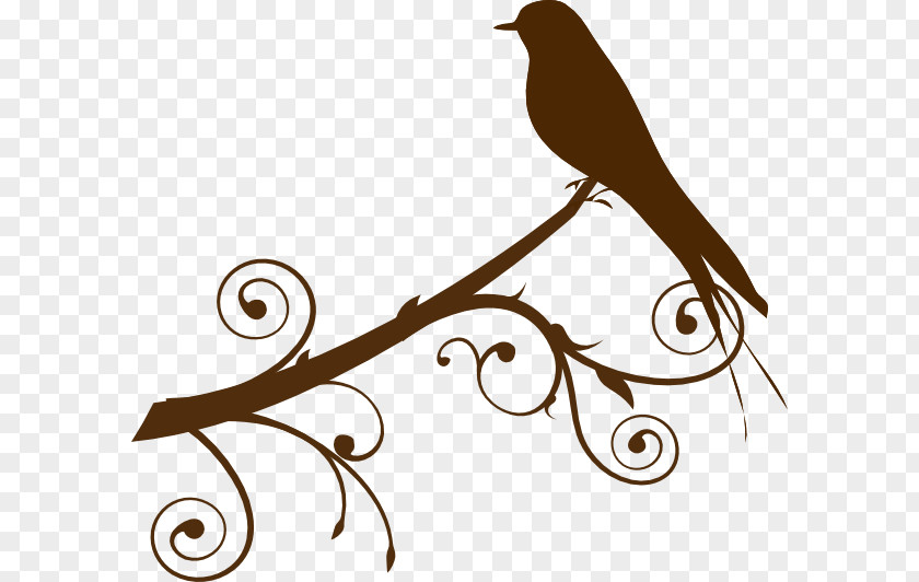 Mockingbird Cliparts Bird Branch Clip Art PNG