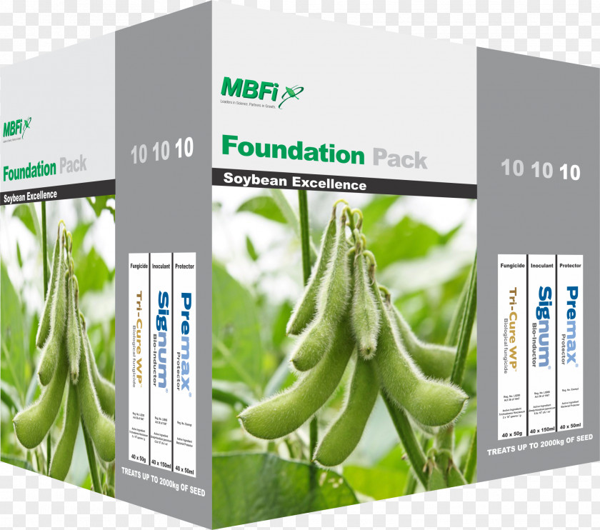 Pea Brand Soybean Plant PNG