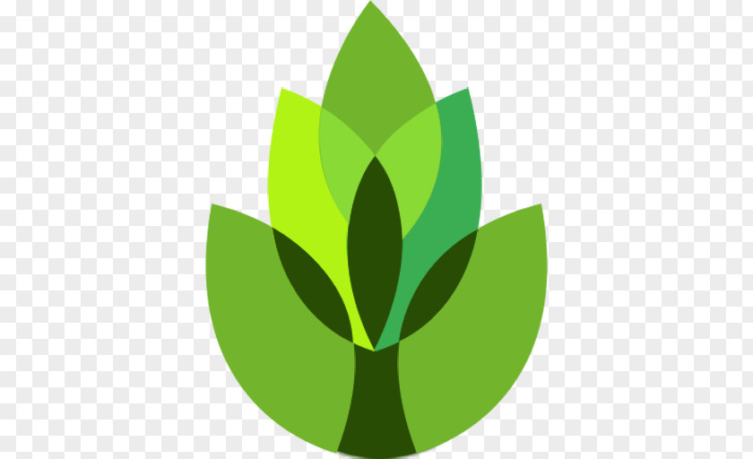 Plant The Garden Answers Gardening App Store PNG