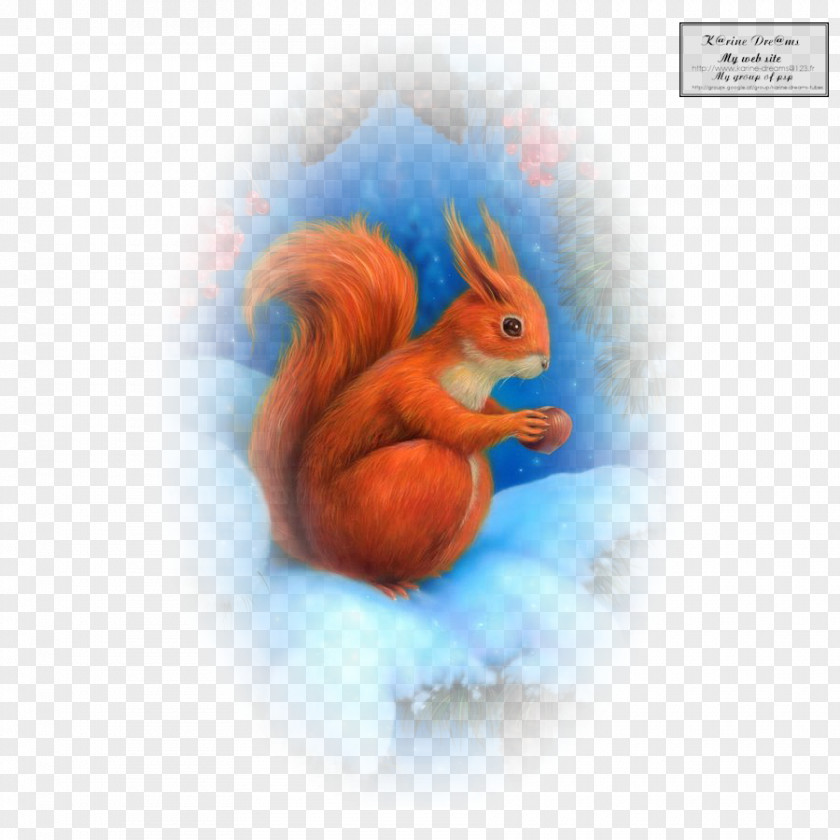 Squirrel Desktop Wallpaper Computer PNG