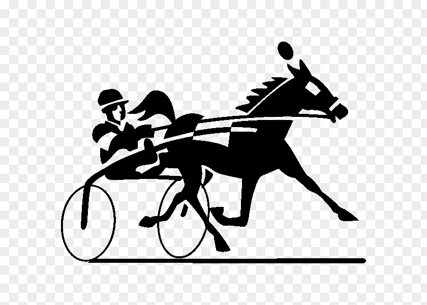 Standardbred Harness Racing Horse Harnesses Clip Art PNG