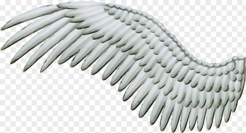Wing Wet Ink PNG