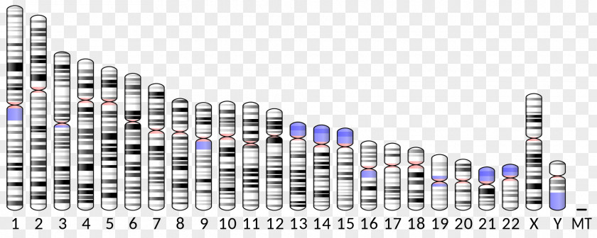 ABO Chromosome 9 Apolipoprotein C2 ICAM-1 PNG