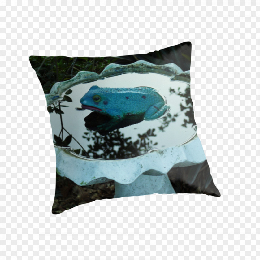 Bird Bath Throw Pillows Cushion PNG