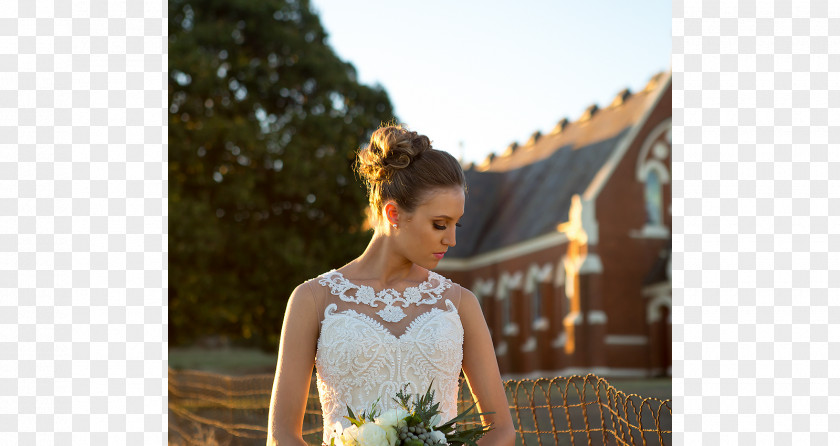 Bride Groom Wedding Dress Veil PNG