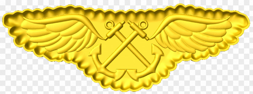 Cnc Army Aviation Wings Gold Boatswain's Mate Font Animal PNG