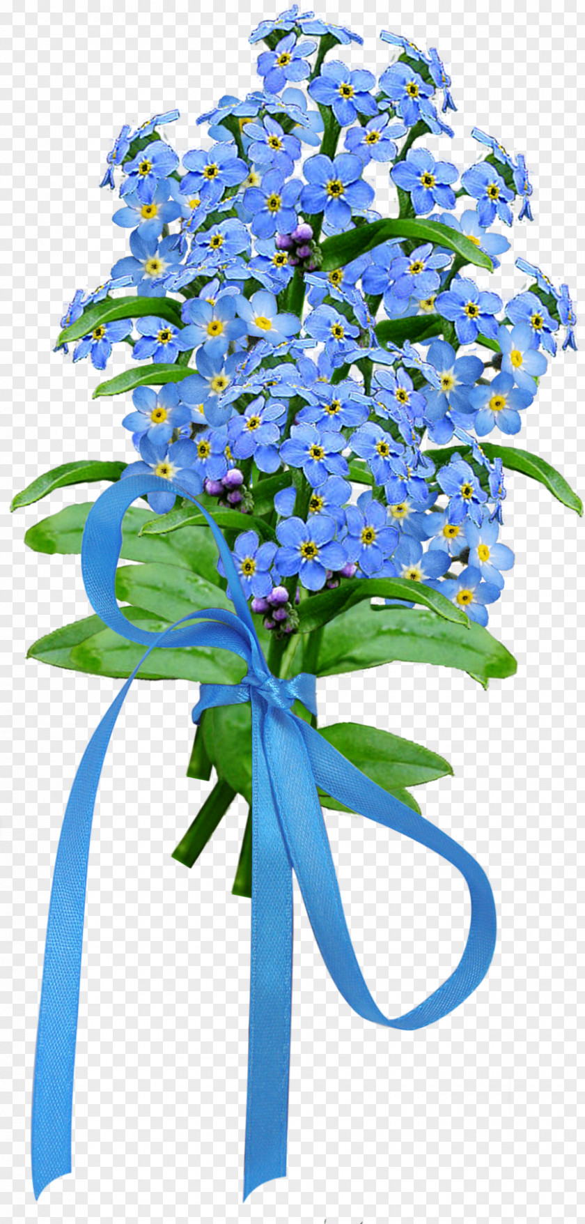 Forget Me Not Birthday Scorpion Grasses Flower Bouquet PNG