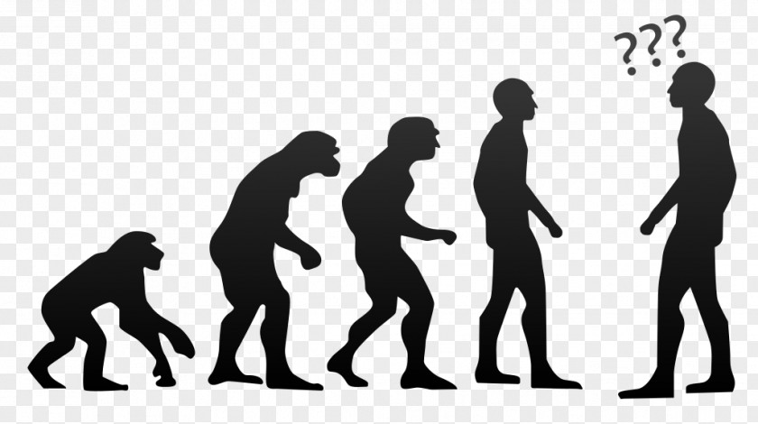 Human Evolution Evolutionary Biology Psychology PNG
