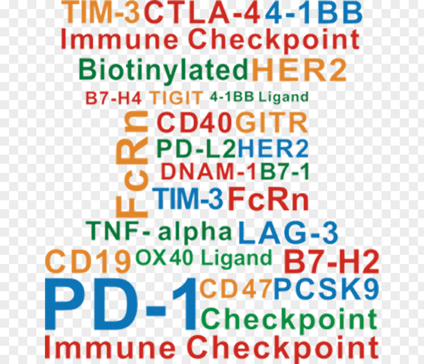 Immune Checkpoint Cancer Immunotherapy Programmed Cell Death Protein 1 CTLA-4 PNG