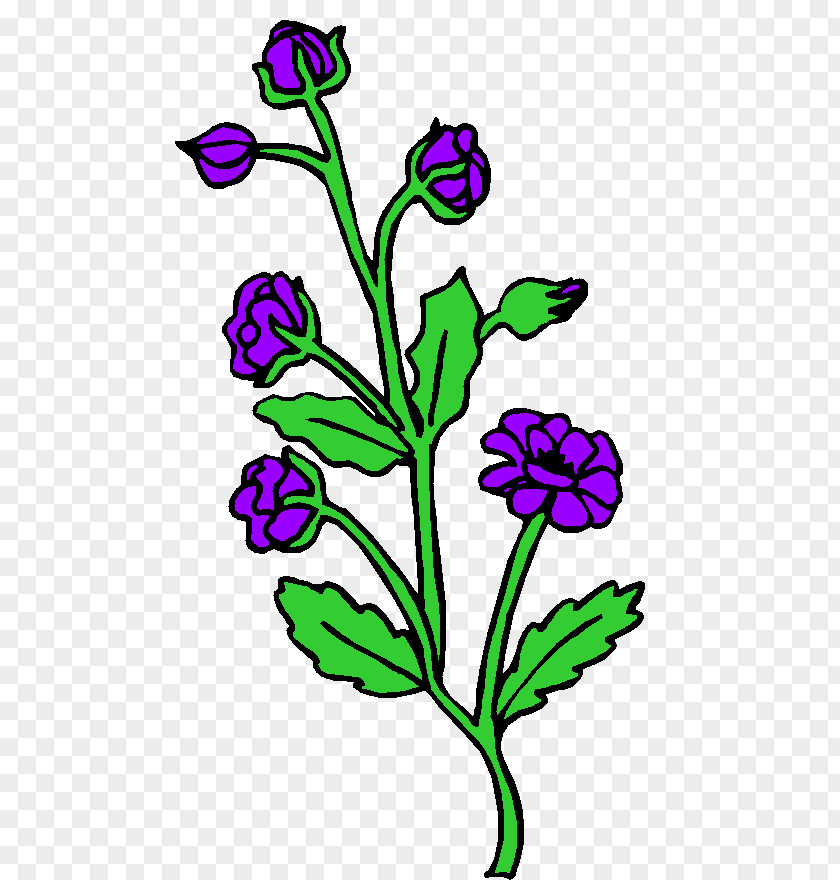 Trik Plants Floral Design Cut Flowers Crop Agriculture PNG