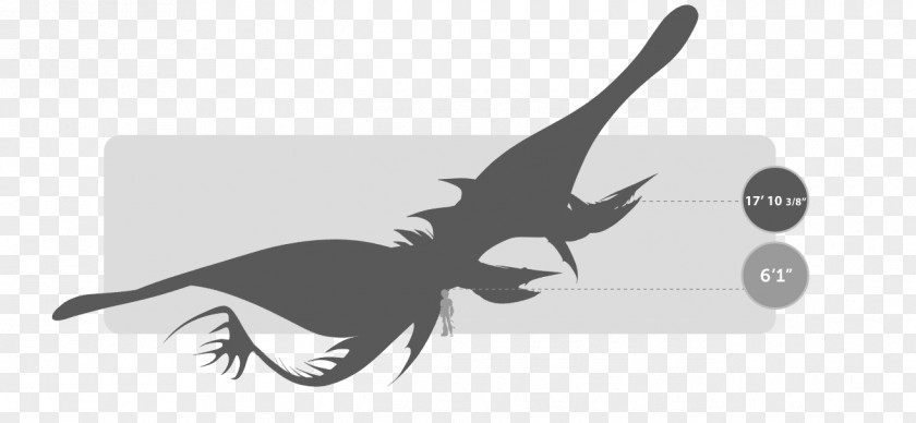 Bites How To Train Your Dragon Fishlegs Toothless Monster PNG