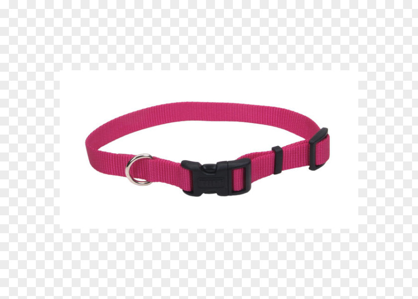 Dog Collar Leash Pet PNG