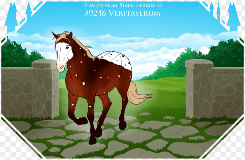 Liver Animation Horse Cartoon PNG