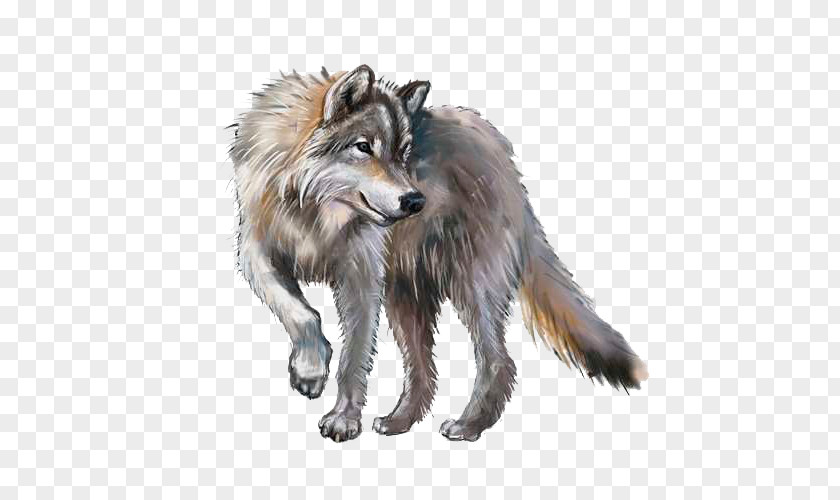 Painting Gray Wolf Royalty-free PNG