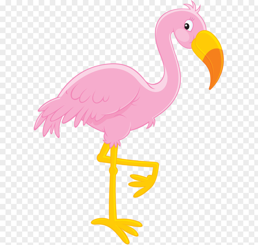 Pink Crowned Crane Flamingo Royalty-free Clip Art PNG