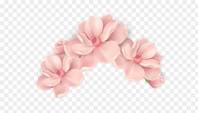 Pink Petal Flower Plant Headgear PNG