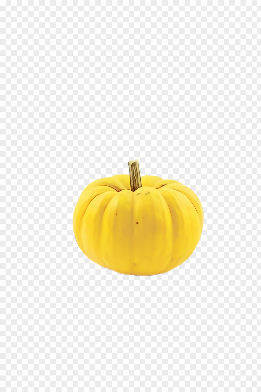 Pumpkin Fruit PNG