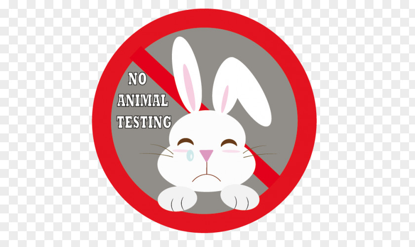 Rabbit Animal Testing Experimentación PNG