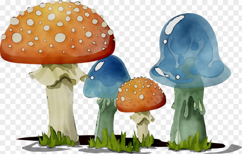 Clip Art Fungus Mushroom Vector Graphics PNG