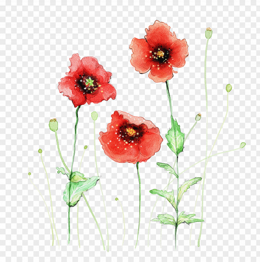 Flower Background Material Element Watercolor Painting Red PNG