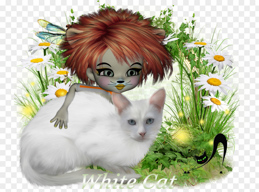 Kitten Whiskers Cat PNG