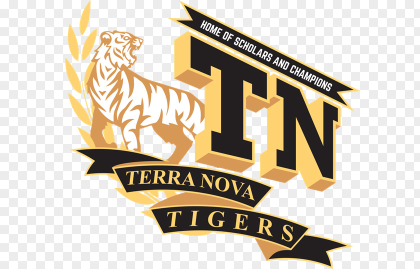 School Terra Nova High National Secondary PNG