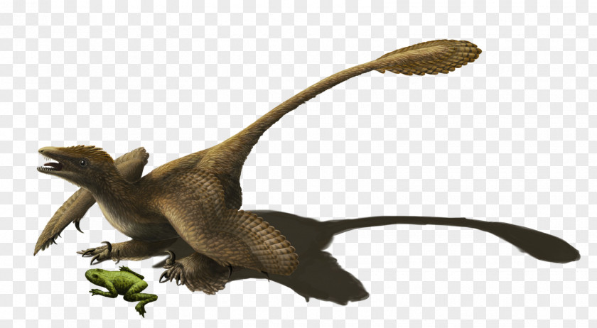 Animals Dinosaur Sinornithosaurus Microraptor Velociraptor Utahraptor PNG