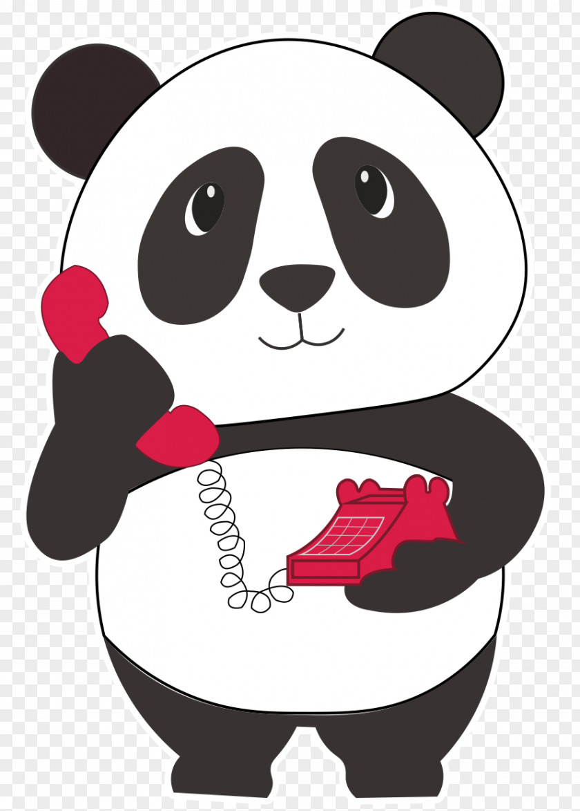 Bear Giant Panda Canidae Google Clip Art PNG