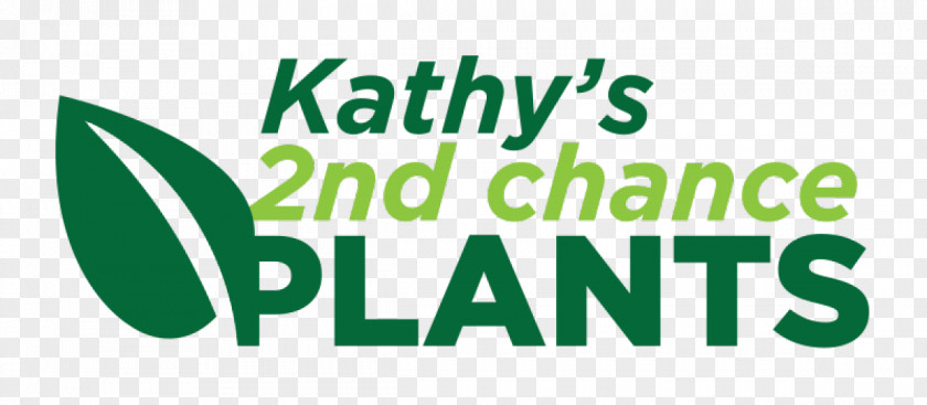 Business Kathy's Creations A Brand Of: 2nd Chance Plants, LLC Résumé Plan Naperville PNG