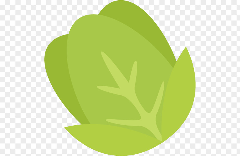 Cabbage Pattern Leaf Green Font PNG